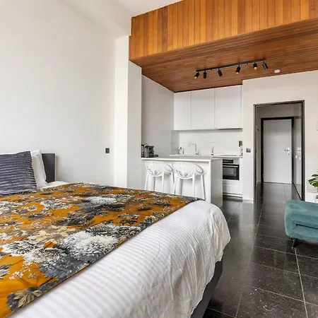 Riverview In Historical Heart Of Antwerp